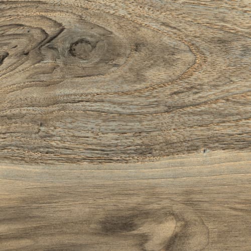 La Fabbrica Kauri Fiordland